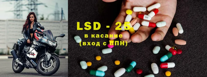 дарнет шоп  Красногорск  LSD-25 экстази кислота 